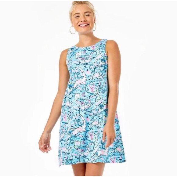 Lilly Pulitzer Dress Womens XL Kristen Swing Lilly Loves Cape Cod Bali Blue Prep - Picture 1 of 11
